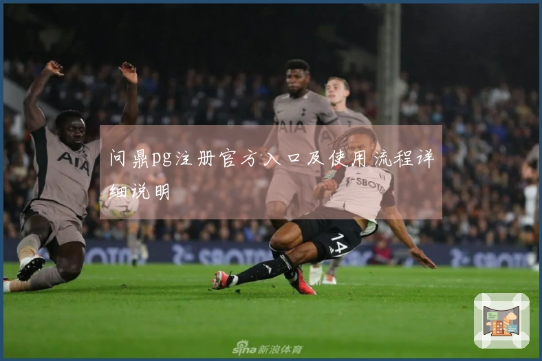 问鼎pg注册官方入口及使用流程详细说明