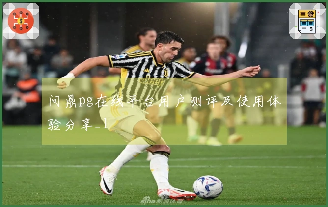 问鼎pg在线平台用户测评及使用体验分享_1