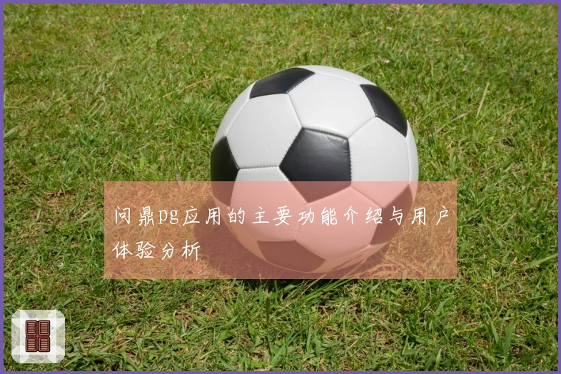 问鼎pg应用的主要功能介绍与用户体验分析