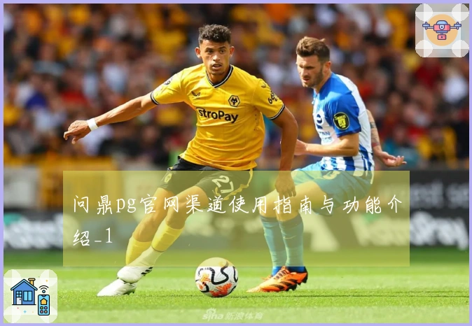 问鼎pg官网渠道使用指南与功能介绍_1