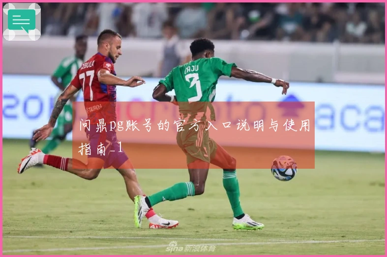 问鼎pg账号的官方入口说明与使用指南_1
