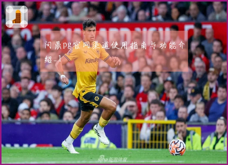 问鼎pg官网渠道使用指南与功能介绍_1