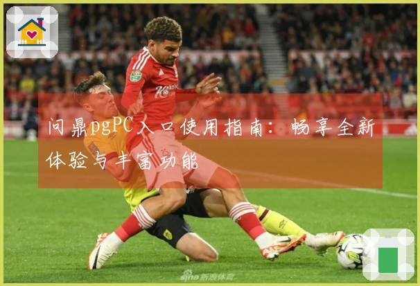 问鼎pgPC入口使用指南：畅享全新体验与丰富功能